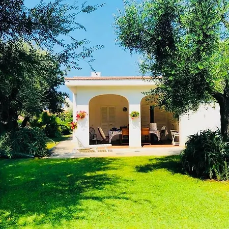 Sul Mare * ローザ・マリーナ